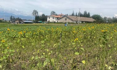 Venta Oportunidad hermoso terreno sector Yaruquí