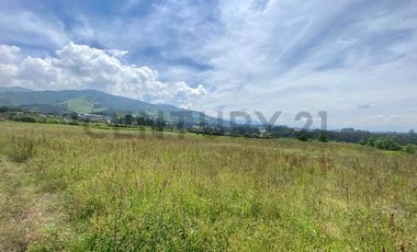 Venta Oportunidad hermoso terreno sector Yaruquí