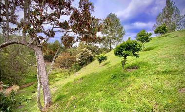 Venta Lote Parcelacion Lago + Quebrada Via San Antonio La Ceja