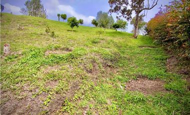 Venta Lote Parcelacion Lago + Quebrada Via San Antonio La Ceja