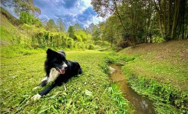 Venta Lote Parcelacion Lago + Quebrada Via San Antonio La Ceja