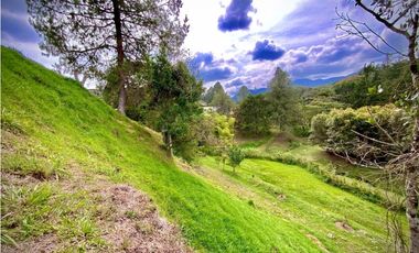 Venta Lote Parcelacion Lago + Quebrada Via San Antonio La Ceja