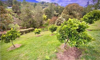 Venta Lote Parcelacion Lago + Quebrada Via San Antonio La Ceja