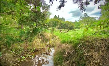 Venta Lote Parcelacion Lago + Quebrada Via San Antonio La Ceja