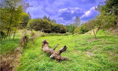 Venta Lote Parcelacion Lago + Quebrada Via San Antonio La Ceja