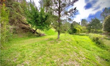 Venta Lote Parcelacion Lago + Quebrada Via San Antonio La Ceja