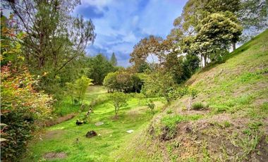 Venta Lote Parcelacion Lago + Quebrada Via San Antonio La Ceja