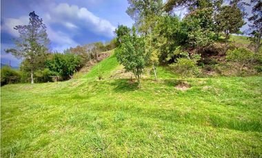 Venta Lote Parcelacion Lago + Quebrada Via San Antonio La Ceja