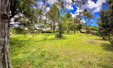 Venta Lote Parcelacion Via San Antonio La Ceja