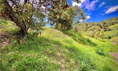 Venta Lote Parcelacion Via San Antonio La Ceja