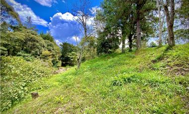 Venta Lote Parcelacion Via San Antonio La Ceja