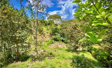 Venta Lote Parcelacion Via San Antonio La Ceja