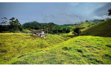 Venta Casa Lote Topografia perfecta Parcelar La Ceja