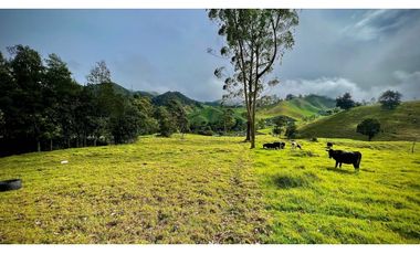 Venta Casa Lote Topografia perfecta Parcelar La Ceja
