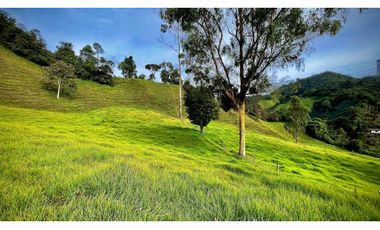Venta Casa Lote Topografia perfecta Parcelar La Ceja