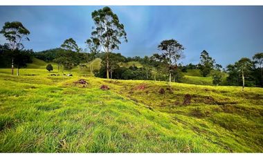 Venta Casa Lote Topografia perfecta Parcelar La Ceja
