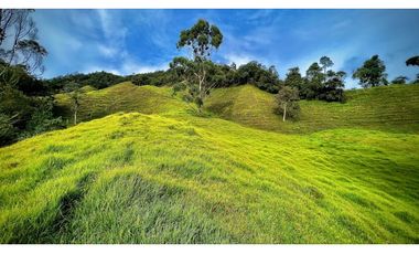 Venta Casa Lote Topografia perfecta Parcelar La Ceja