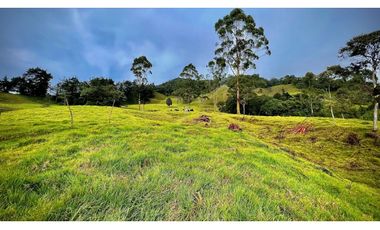 Venta Casa Lote Topografia perfecta Parcelar La Ceja