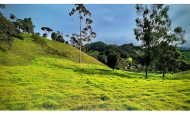 Venta Casa Lote Topografia perfecta Parcelar La Ceja
