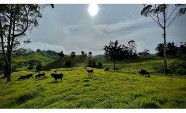 Venta Casa Lote Topografia perfecta Parcelar La Ceja