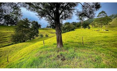 Venta Casa Lote Topografia perfecta Parcelar La Ceja