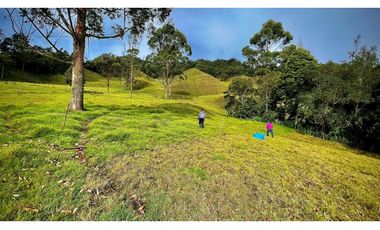 Venta Casa Lote Topografia perfecta Parcelar La Ceja