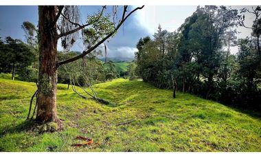 Venta Casa Lote Topografia perfecta Parcelar La Ceja