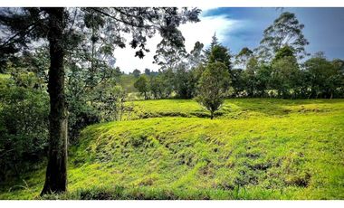 Venta Casa Lote Topografia perfecta Parcelar La Ceja