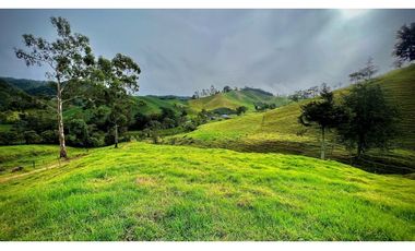 Venta Casa Lote Topografia perfecta Parcelar La Ceja