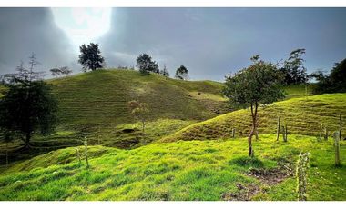 Venta Casa Lote Topografia perfecta Parcelar La Ceja