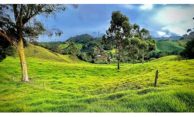 Venta Casa Lote Topografia perfecta Parcelar La Ceja