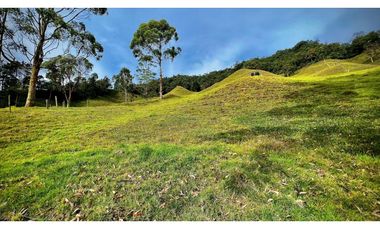 Venta Casa Lote Topografia perfecta Parcelar La Ceja