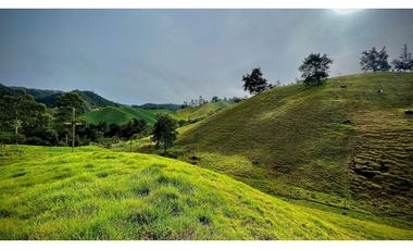 Venta Casa Lote Topografia perfecta Parcelar La Ceja