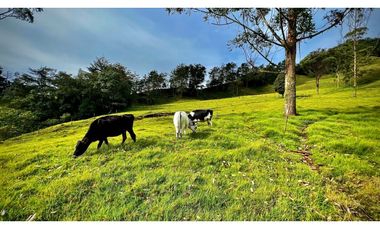 Venta Casa Lote Topografia perfecta Parcelar La Ceja