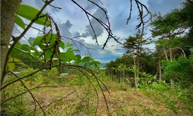 Venta lote Parcelacion VISTA REPRESA (Retiro)