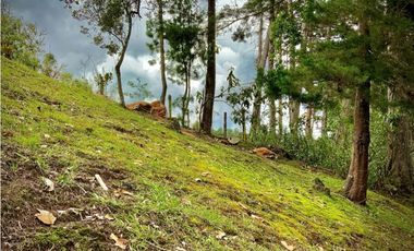 Venta lote Parcelacion VISTA REPRESA (Retiro)