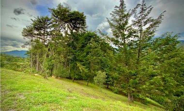 Venta lote Parcelacion VISTA REPRESA (Retiro)