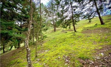 Venta lote Parcelacion VISTA REPRESA (Retiro)