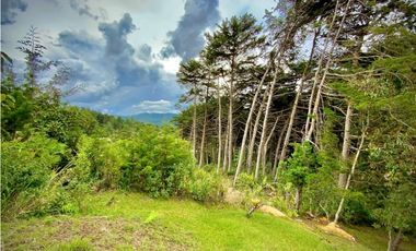 Venta lote Parcelacion VISTA REPRESA (Retiro)