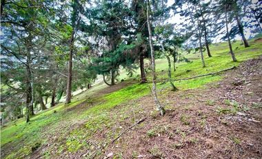 Venta lote Parcelacion VISTA REPRESA (Retiro)