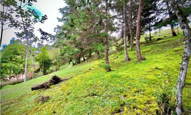 Venta lote Parcelacion VISTA REPRESA (Retiro)