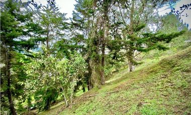 Venta lote Parcelacion VISTA REPRESA (Retiro)