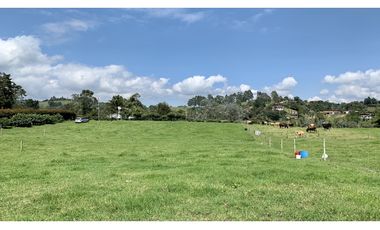 Venta Lote Independiente a 10 minutos de Llanogrande