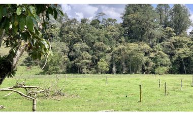 Venta Lote Independiente a 10 minutos de Llanogrande