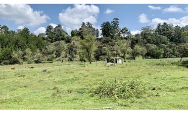 Venta Lote Independiente a 10 minutos de Llanogrande