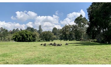 Venta Lote Independiente a 10 minutos de Llanogrande