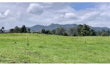 Venta Lote Independiente a 10 minutos de Llanogrande