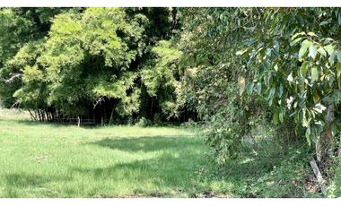 Venta Lote Independiente a 10 minutos de Llanogrande