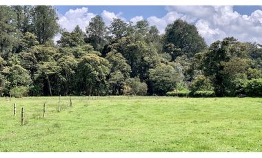 Venta Lote Independiente a 10 minutos de Llanogrande