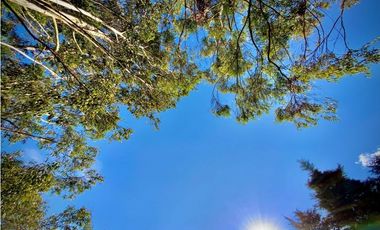 Venta Lote Parcelacion Via San Antonio La Ceja